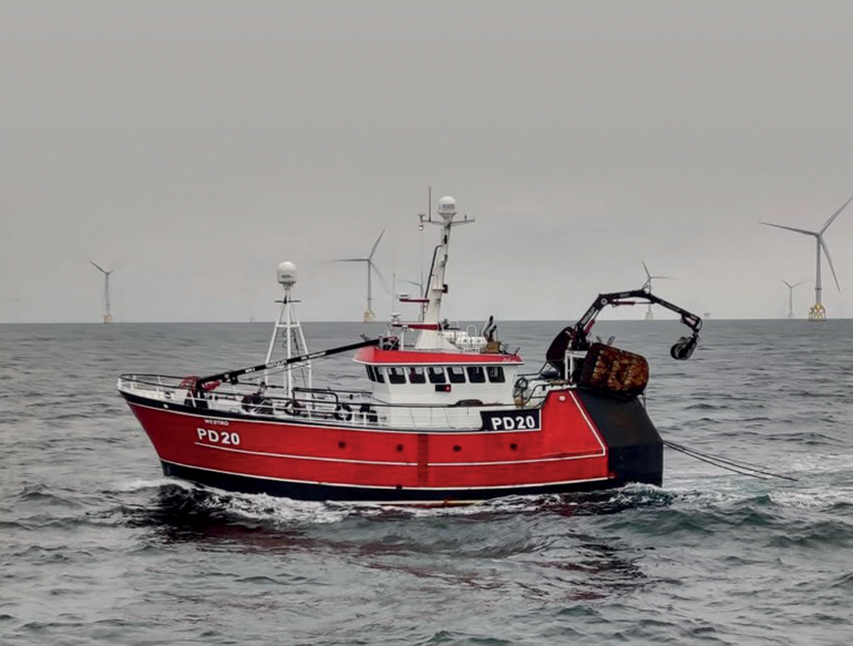 SSE issues fisheries safety guide for wind farms