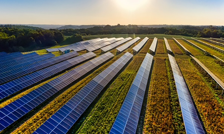 Cambridge Power wins nod for 50MW solar farm