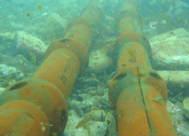 Crown, Cefas release study on subsea cable impacts UK launches subsea cable monitoring project