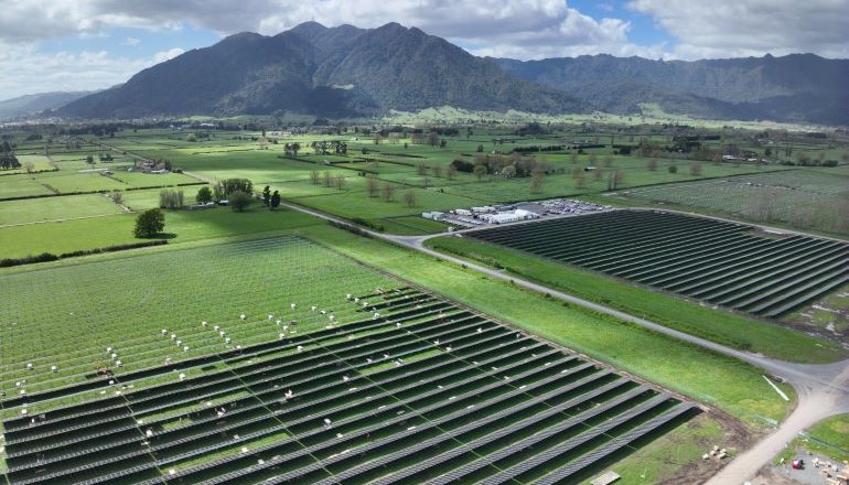 ‘Golden row’ marks progress at Tauhei solar farm 'Golden row' marks progress at Tauhei solar farm