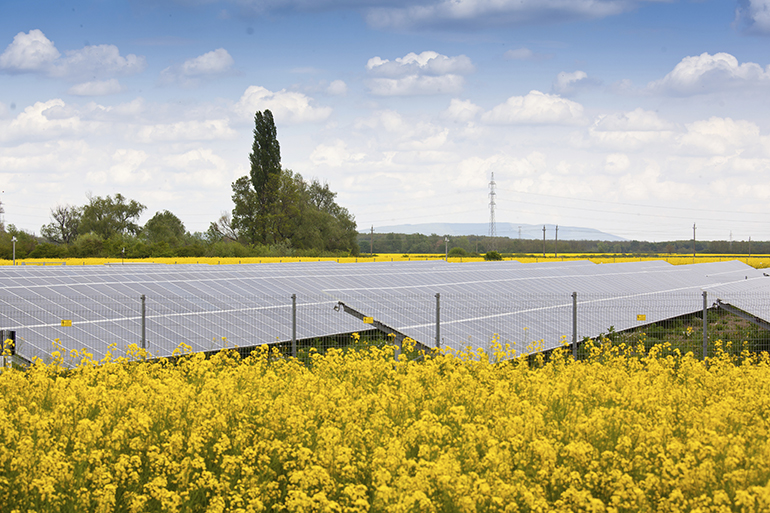 Orsted to develop 400MW of Irish solar