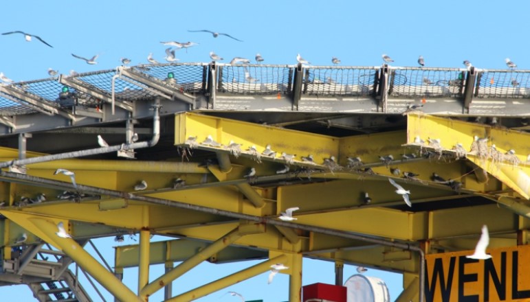 Orsted to reuse gas platform for Hornsea 4 compensation