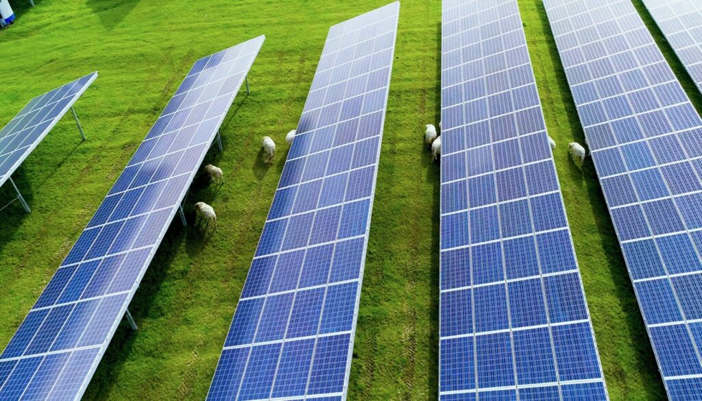 JBM Solar consults on English PV project