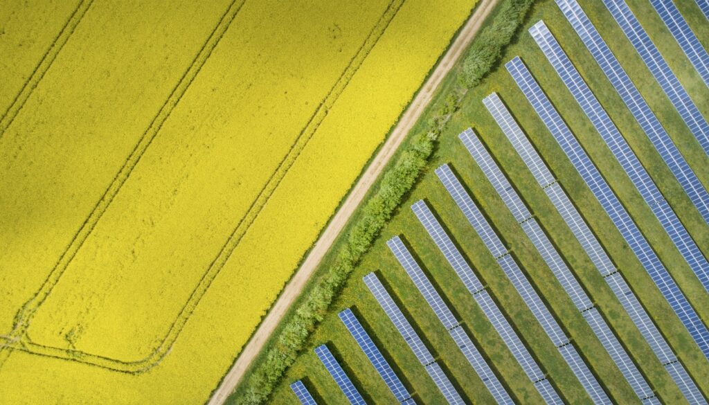 UK PV project receives planning consent UK PV project receives planning consent
