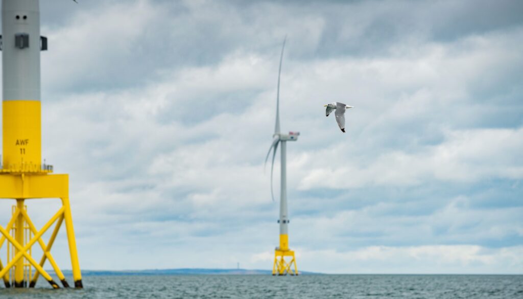 AI tracks seabirds at Scottish Vattenfall project AI tracks seabirds at Scottish Vattenfall project