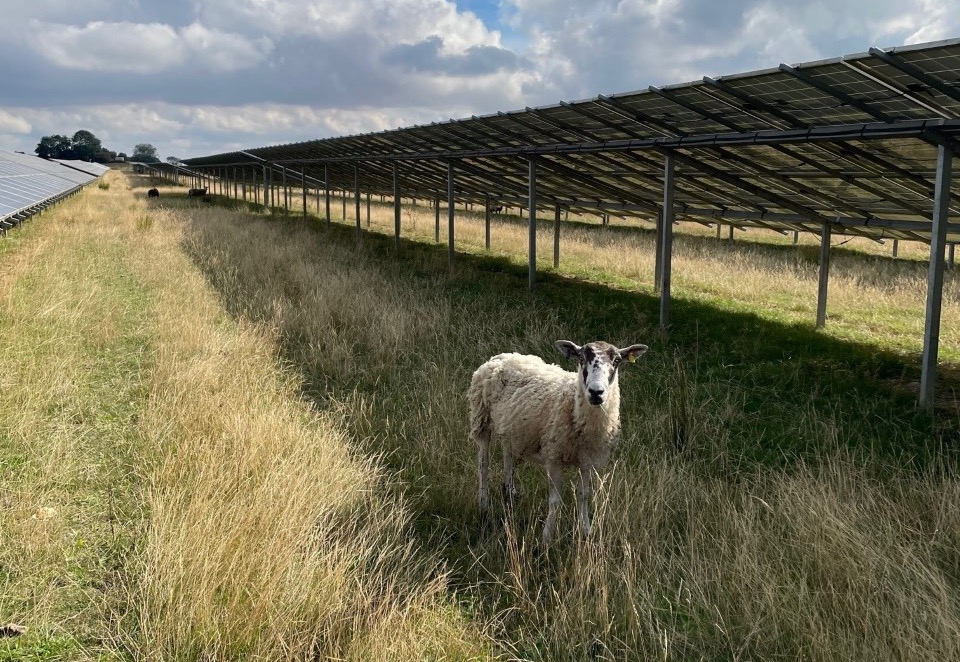 English solar farm gets green light English solar farm gets green light