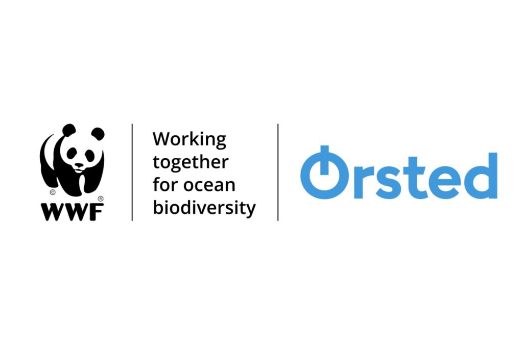 Orsted pairs up with WWF to protect ocean biodiversity Orsted pairs up with WWF to protect ocean biodiversity