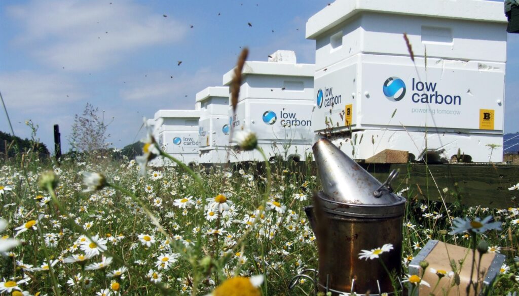 Low Carbon deploys pollinator tracking tech Low Carbon deploys pollinator tracking tech