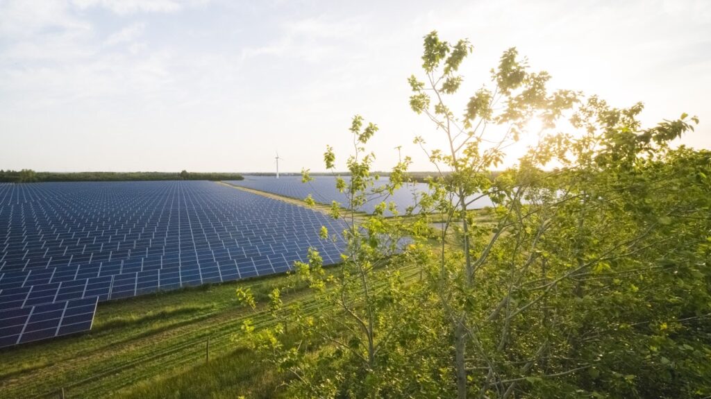 Danish partners sign €530m solar finance deal