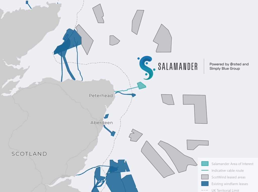 Scottish floater Salamander selects EIA lead