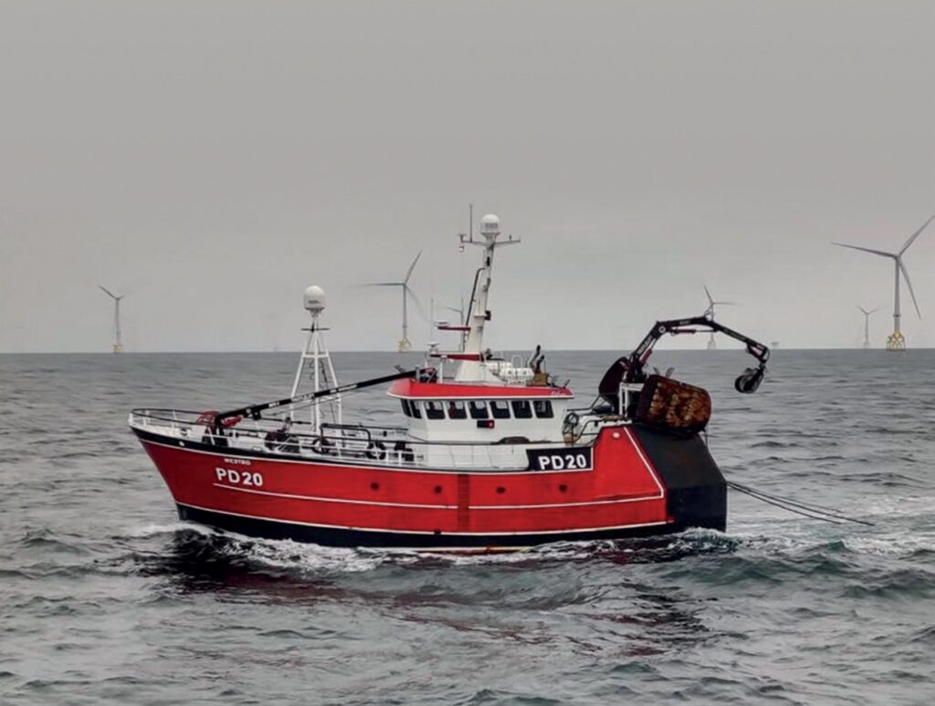 SSE Renewables sets out fisheries plan SSE Renewables sets out fisheries plan