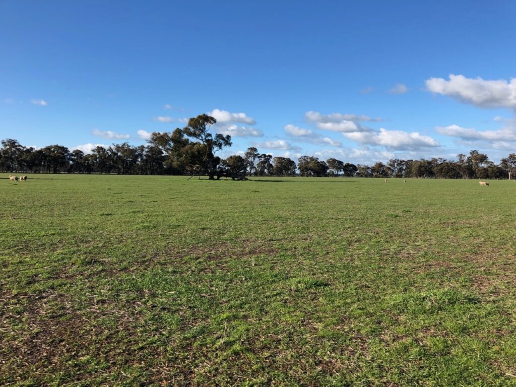 Gransolar secures Oz EPC contract Gransolar secures Oz EPC contract