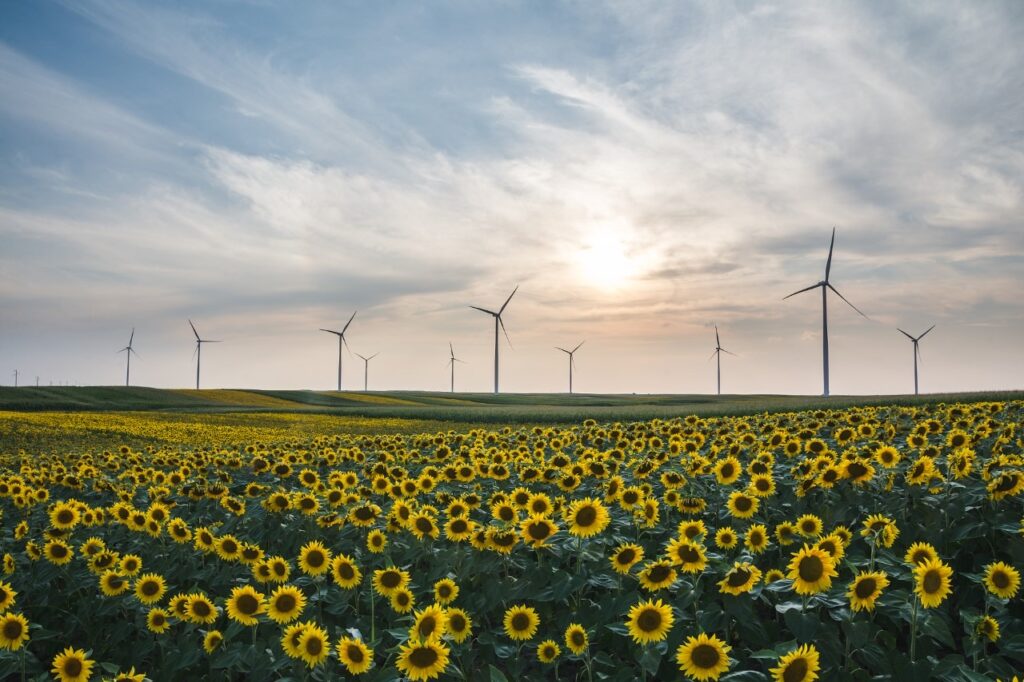 Green Genius acquires 85MW Lithuanian wind project Green Genius acquires 85MW Lithuanian wind project