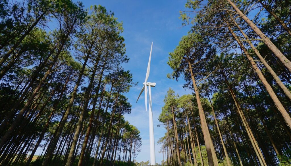 Iberdrola obtains permit for 274MW Portuguese project
