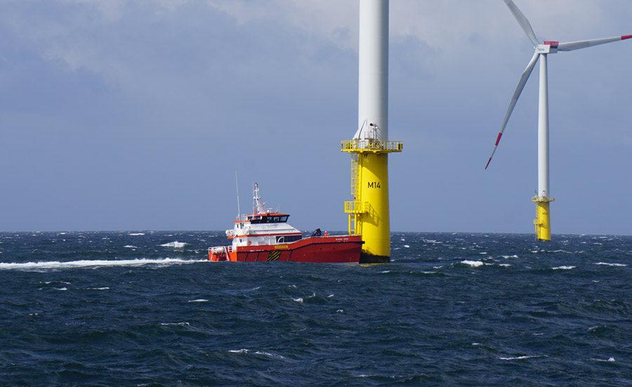 Triyards scores order hat-trick