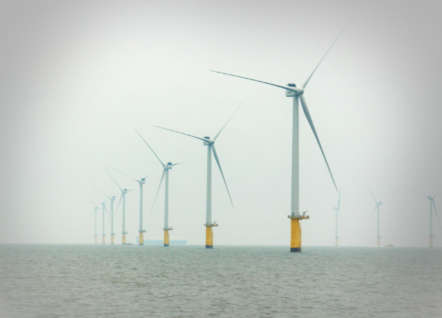 SeaRoc trawls Humber seabed