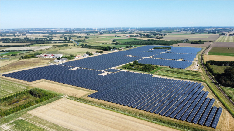 LONGi promotes wildlife at Danish solar farm LONGi promotes wildlife at Danish solar farm