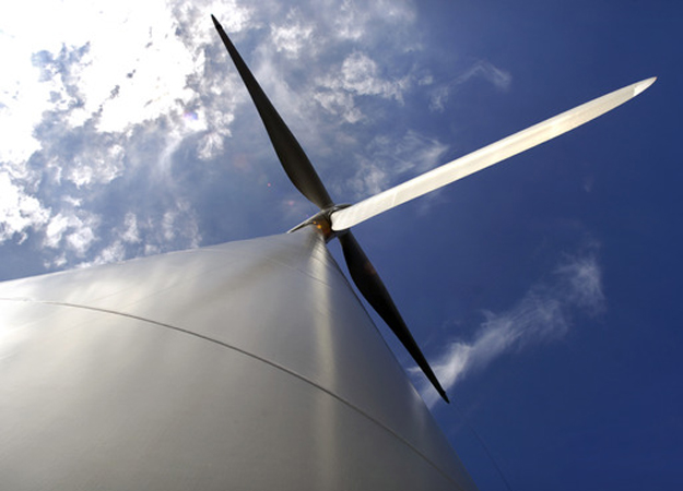 Study finds seabirds avoid Aberdeen turbines Study finds seabirds avoid Aberdeen turbines