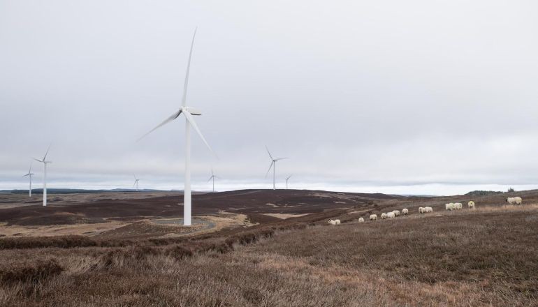Vattenfall eyes plan for 160MW English wind farm Vattenfall hits FID on 1.6GW Nordlicht complex