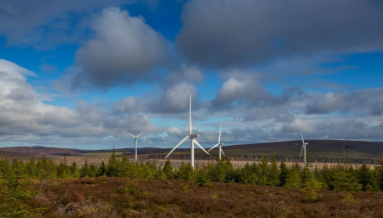 Vattenfall seeks Scottish wildcat officer Ministers grant consent for Clashindarroch 2