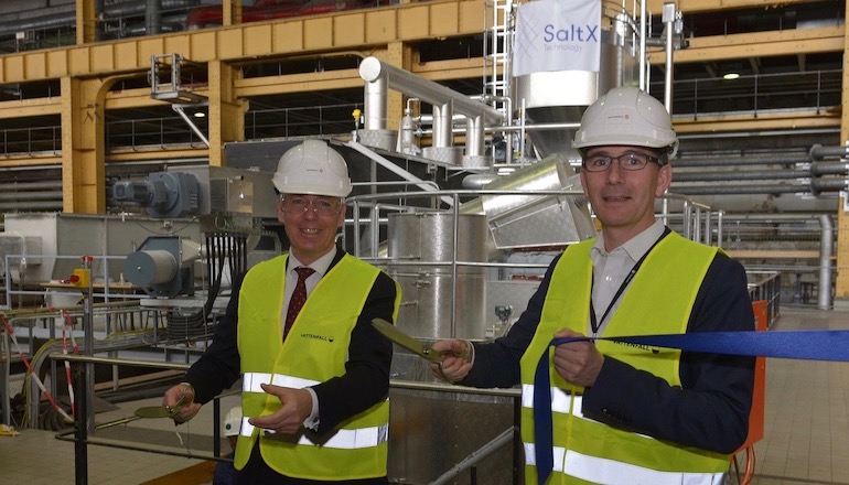 Vattenfall salt pilot eyes storage shake up