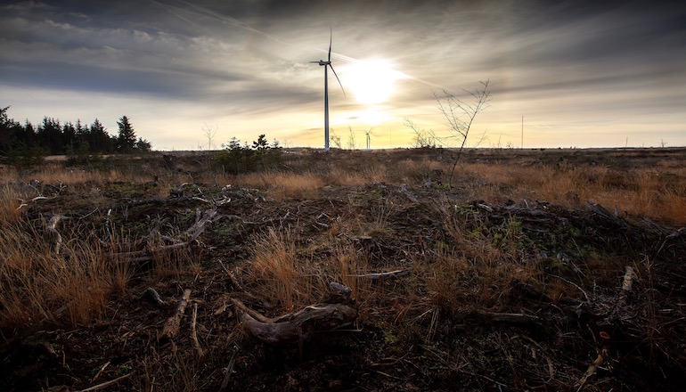 OX2 offloads 63MW Polish onshore duo Vestas lands 18MW Italian job