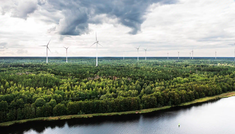 Sweden grants permit to just three wind farms in 2025 Sweden grants permit to just three wind farms in 2025