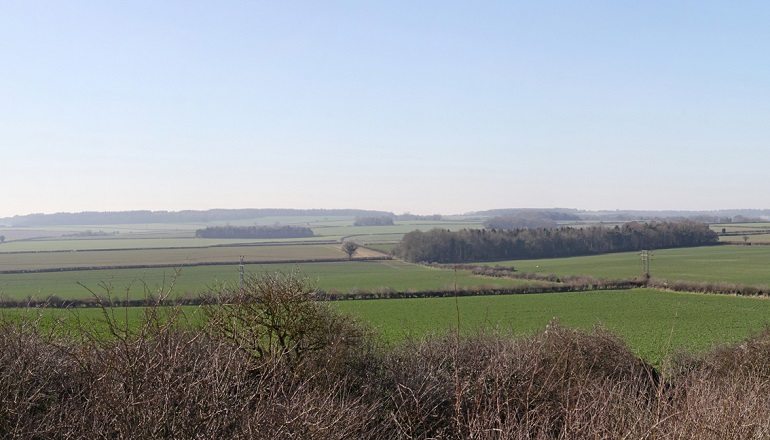 Dorset Council takes shine to 40MW PV plant Dorset Council takes shine to 40MW PV plant