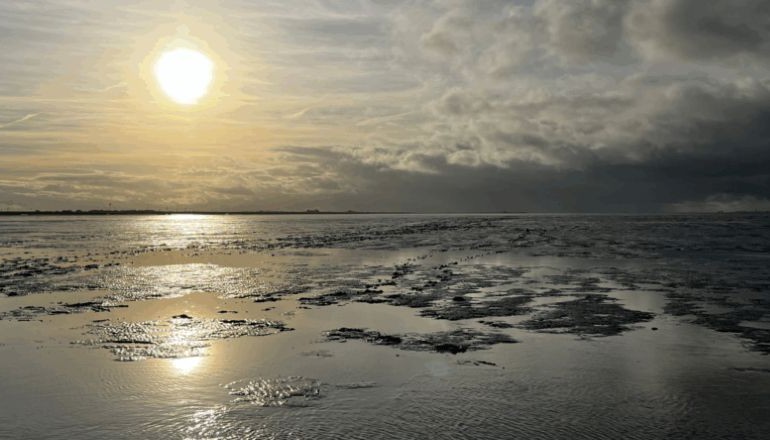 Enshore lands German offshore cable work Enshore lands German offshore cable work