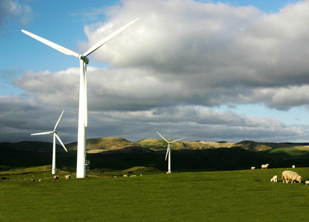 Committee calls for Welsh renewables strategy