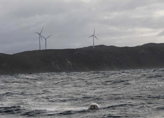 Carnegie rolls wave R&D cash