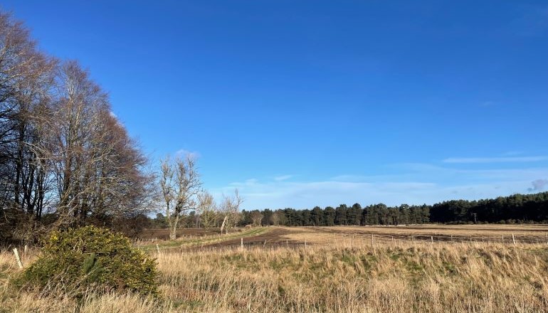 BLC submits plan for 100MW Scots solar BLC submits plan for 100MW Scots solar