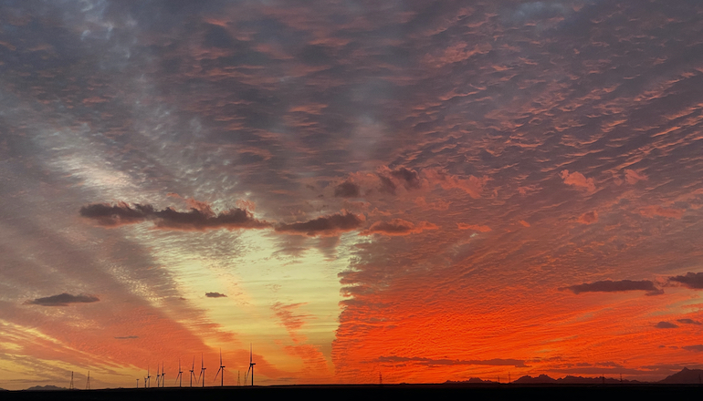 Lekela has connected the first 20 turbines to the grid at the 250MW West Bakr wind farm in Egypt and is on track to complete the project by the end of the year