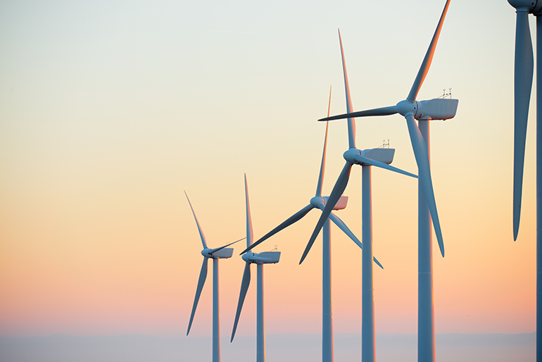 Wood drives €1bn renewables investment Wood drives €1bn renewables investment