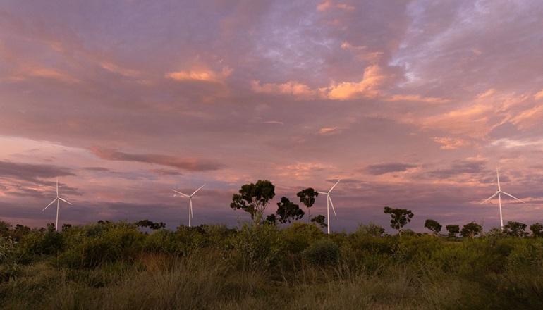 Oz wind giant gains government consent