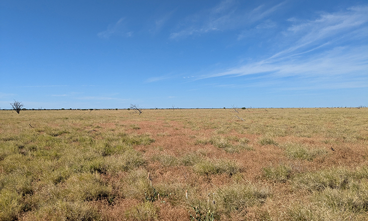 DP Energy to develop 1.4GW Oz wind farm DP Energy to develop 1.4GW Oz wind farm