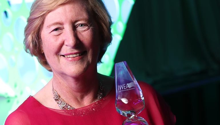 Ireland ‘needs planning reform to hit goals’ Donnelly crowned renewables champ at Irish awards bash