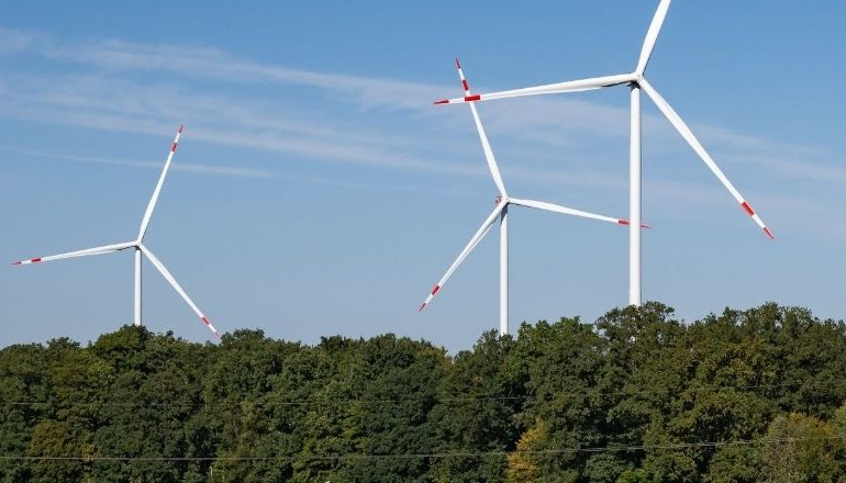 WPD posts record German tender haul WPD posts record German tender haul