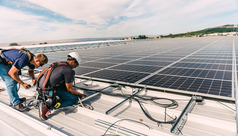 Solar grows on US hops cooperative Solar grows on US hops cooperative