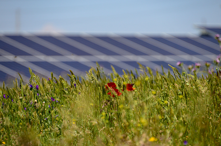 Three BayWa r.e. UK PV sites get nod Green light for 40MW English PV plant